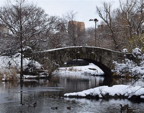 Gapstow Bridge - Central Park Conservancy