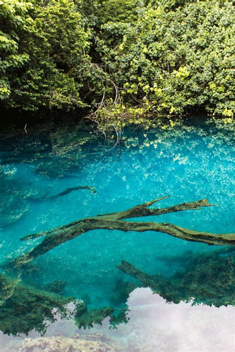 Where to Go: Blue Hole, Vanuatu | Oceania travel, Pretty places, Ocean