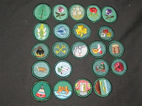 Girl Scout Patrol & Troop Crests, and Proficiency Badge Lot cjp GS | eBay | Girl scouts, Badge ...