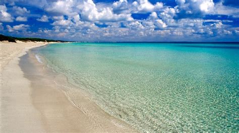 Carovigno Travel Guide: Best of Carovigno, Puglia Travel 2024 | Expedia ...