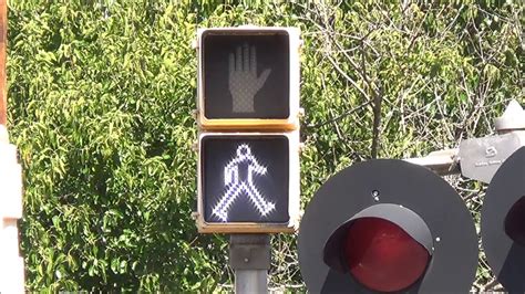 TCT Pedestrian Signal with Canadian Walk LED - YouTube