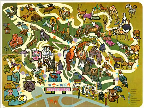Visitor’s Map – San Diego Zoo [Title on Verso] | Curtis Wright Maps