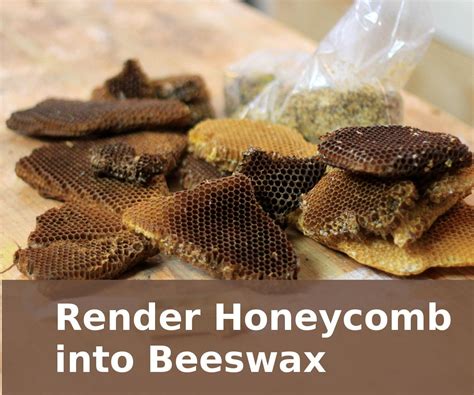 How to Render Beeswax From Honeycomb : 6 Steps (with Pictures ...