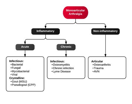 Arthritis Differential Diagnoses - WikiMSK