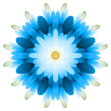 Symmetry Flower 2 2000x2000 by WerewolfPuppy on DeviantArt