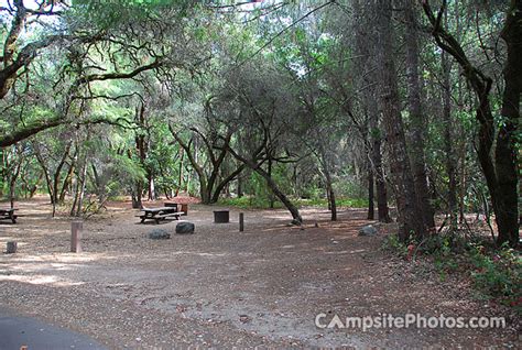 Henry Cowell Redwoods State Park - Campsite Photos & Reservations