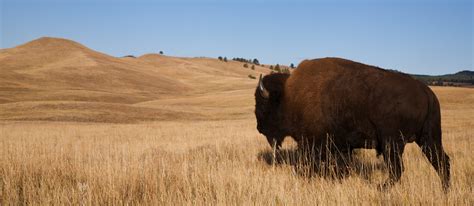 History Of North Dakota - City Towner