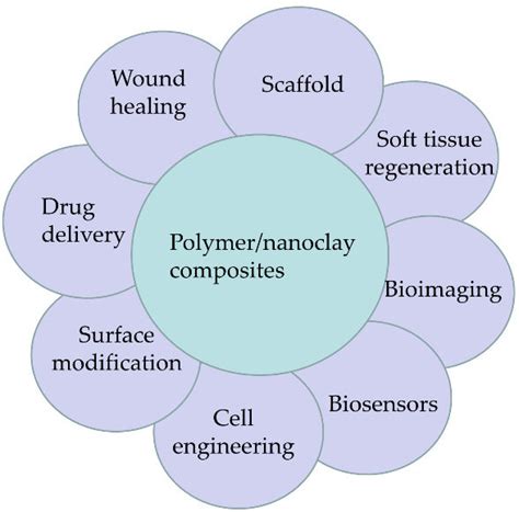 Various biomedical applications of polymer/nanoclay composites. | Download Scientific Diagram