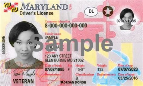 FREE Maryland DMV Practice Test | MD Drivers Permit Test