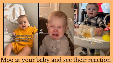 Moo at your baby to see their reaction |tiktok compilations #baby #tiktokcompilation #reaction ...