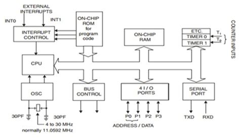 What is Microcontroller? 8081 Microcontroller Architecture - javatpoint