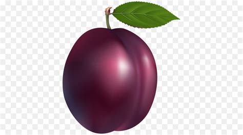 Free Plum Cliparts, Download Free Plum Cliparts png images, Free ClipArts on Clipart Library