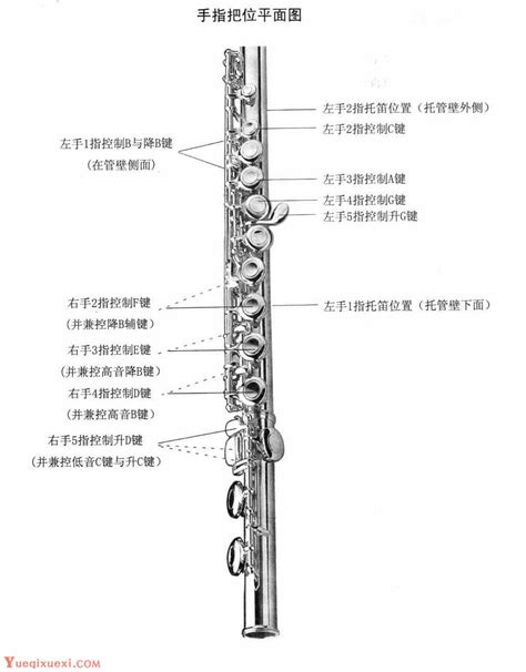 长笛手指把位平面-长笛指法 - 乐器学习网