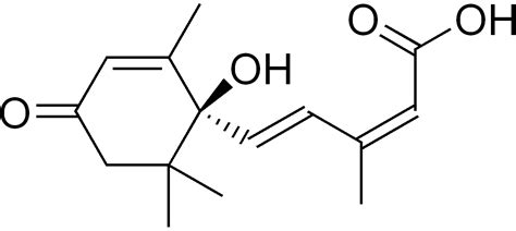 Plant Hormones: Definition, Types, Function, Auxin