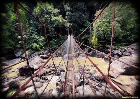 Double Decker Root Bridge – An Awesome Trekking Experience into the Forest of Cherrapunji ...