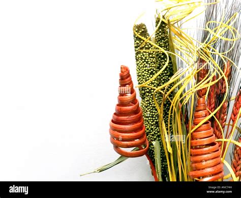 arrangement of dried plants and flowers Stock Photo - Alamy