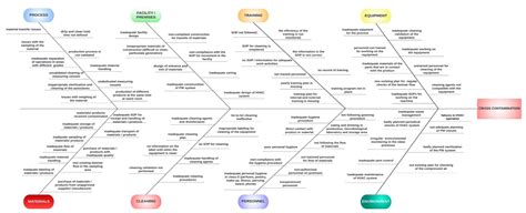 Risk-based contamination control strategy of manufacturing non-sterile ...