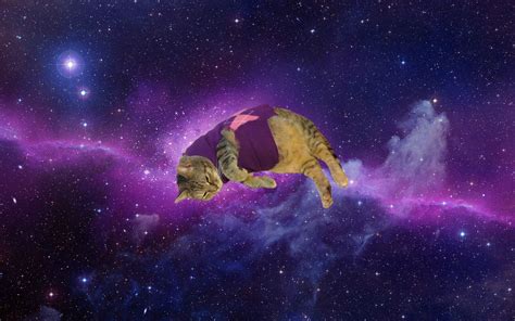 Space Cat Wallpaper (63+ images)