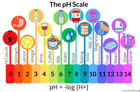 Ph Of Household Items