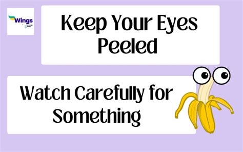 Keep Your Eyes Peeled Meaning, Examples, Synonyms Leverage Edu