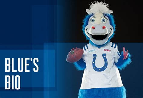 Colts Mascot Blue | Indianapolis Colts - colts.com