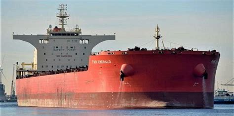 Pan Ocean's 35-bulker fleet expansion set to pay dividends, say analysts | TradeWinds