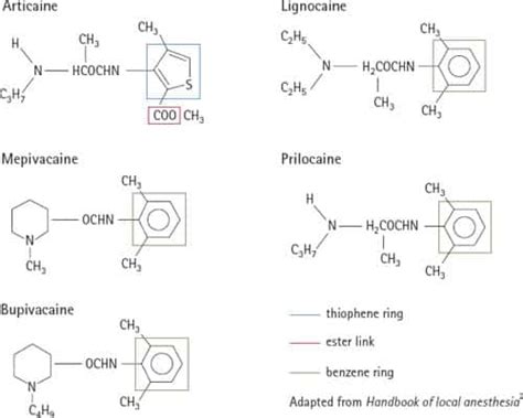 المخدرات الموضعية Local Anesthetics - موقع فكين