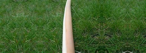 How to Make a Longbow - The Ultimate Guide