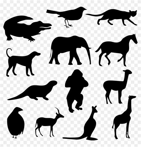 Animal Silhouettes 3 Icons Png - Animals Silhouette Png, Transparent Png - 2400x2394(#433862 ...