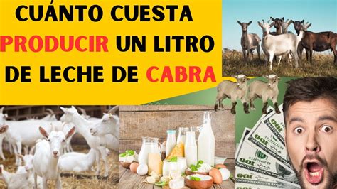 ¿Cuánto cuesta producir un litro de leche de cabra [las mejores razas ...