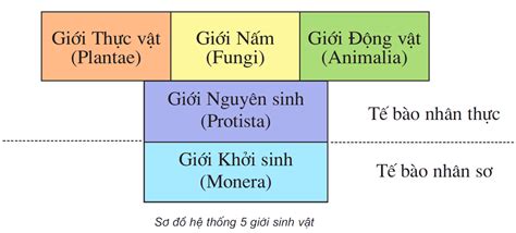 Củng cố kiến thức