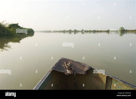 The Gambia River Stock Photo - Alamy