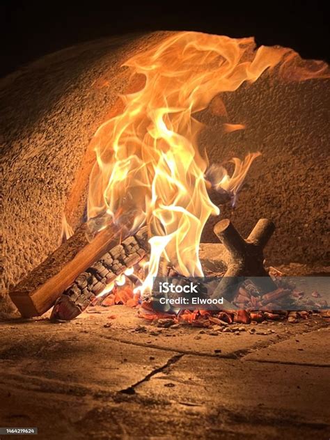 Wood Burned In The Pizza Oven Stock Photo - Download Image Now - Animal ...