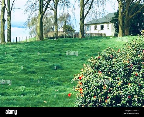 Farmhouse New Zealand Stock Photo - Alamy