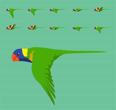 Rainbow Lorikeet Illustrations, Royalty-Free Vector Graphics & Clip Art - iStock