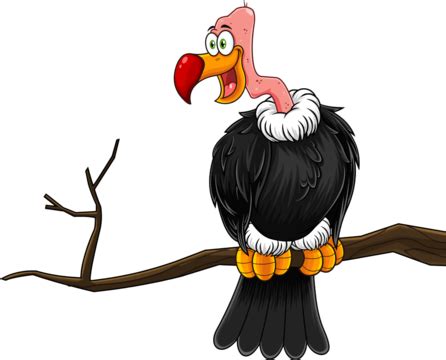 Vector Of Cartoon Vulture On A Tree Branch, Africa, Animals, Avian PNG Transparent Image and ...