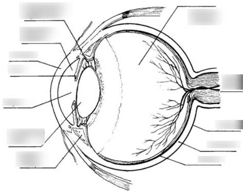 Human Eye: Structure, Function, Defects And Correction