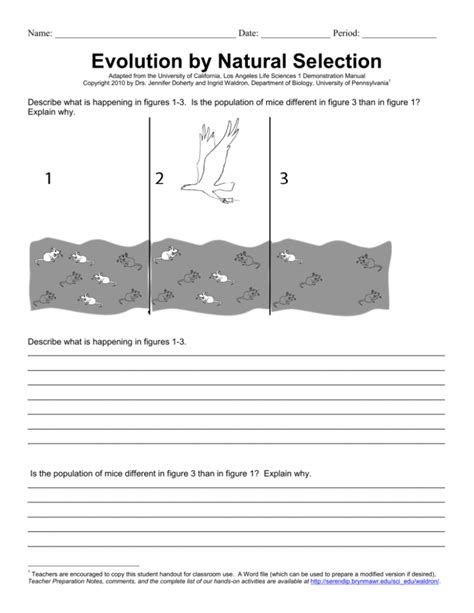 Evolution by natural selection worksheet