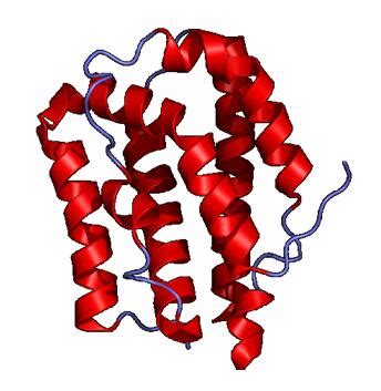 IL-10 Family - Creative Diagnostics