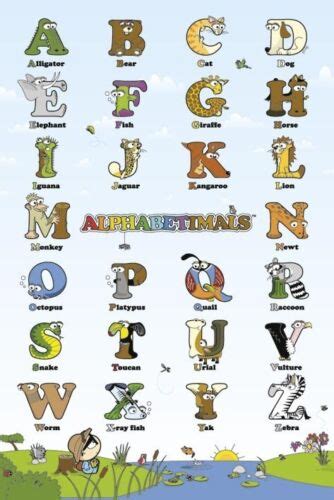 Animal Alphabet Alphabetimals POSTER 60x90cm NEW * learn ABCs bear cat dog fish+ 9316414080073 ...