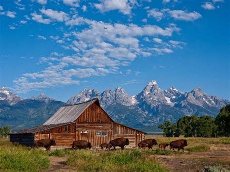 Guide to Experiencing Jackson Hole Wyoming | Rustic Inn Resort