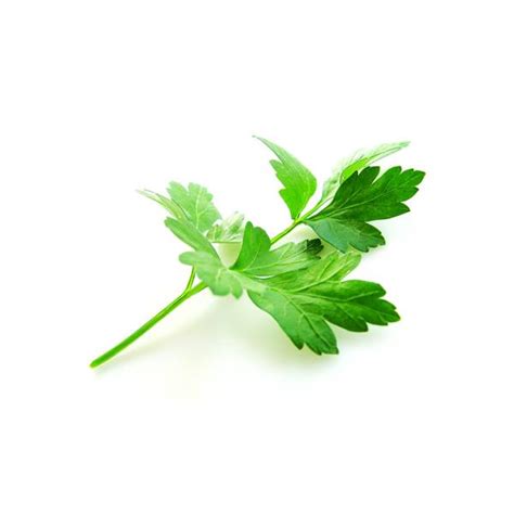 Organic Parsley, Flat Leaf (50 grams) | The Green Grocer Manila