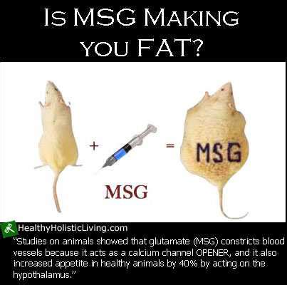 MSG Allergy: What is it and is MSG making you fat? : Healthy Holistic ...