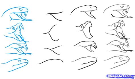 Free Viper Head Drawing, Download Free Viper Head Drawing png images, Free ClipArts on Clipart ...