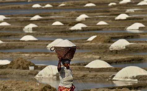 Photos: Third largest salt pans at Marakkanam during lockdown