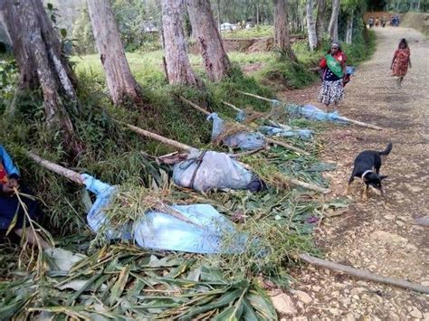 Papua New Guinea Massacre Kills Pregnant Women and Children, Police Say ...