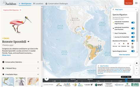 National Audubon Society's Bird Migration Explorer | Blue Raster