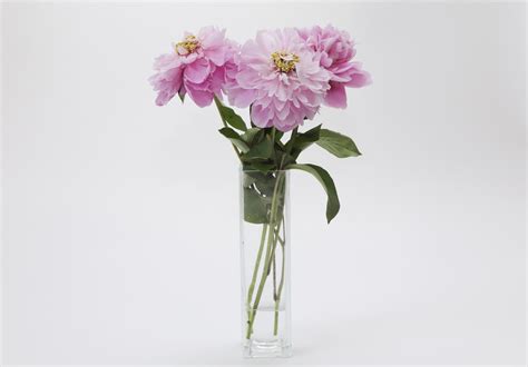 Finding the Perfect Vase for Your Flower Arrangement