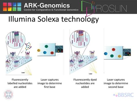 PPT - Update on Next-Generation Sequencing PowerPoint Presentation ...