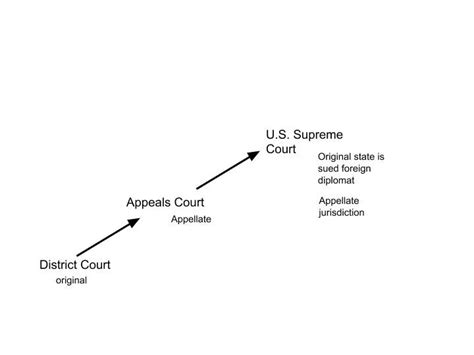 Judicial Branch Diagram | Quizlet